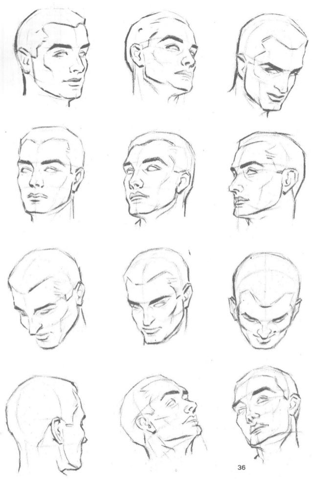aprende a dibujar la cabeza humana retratos