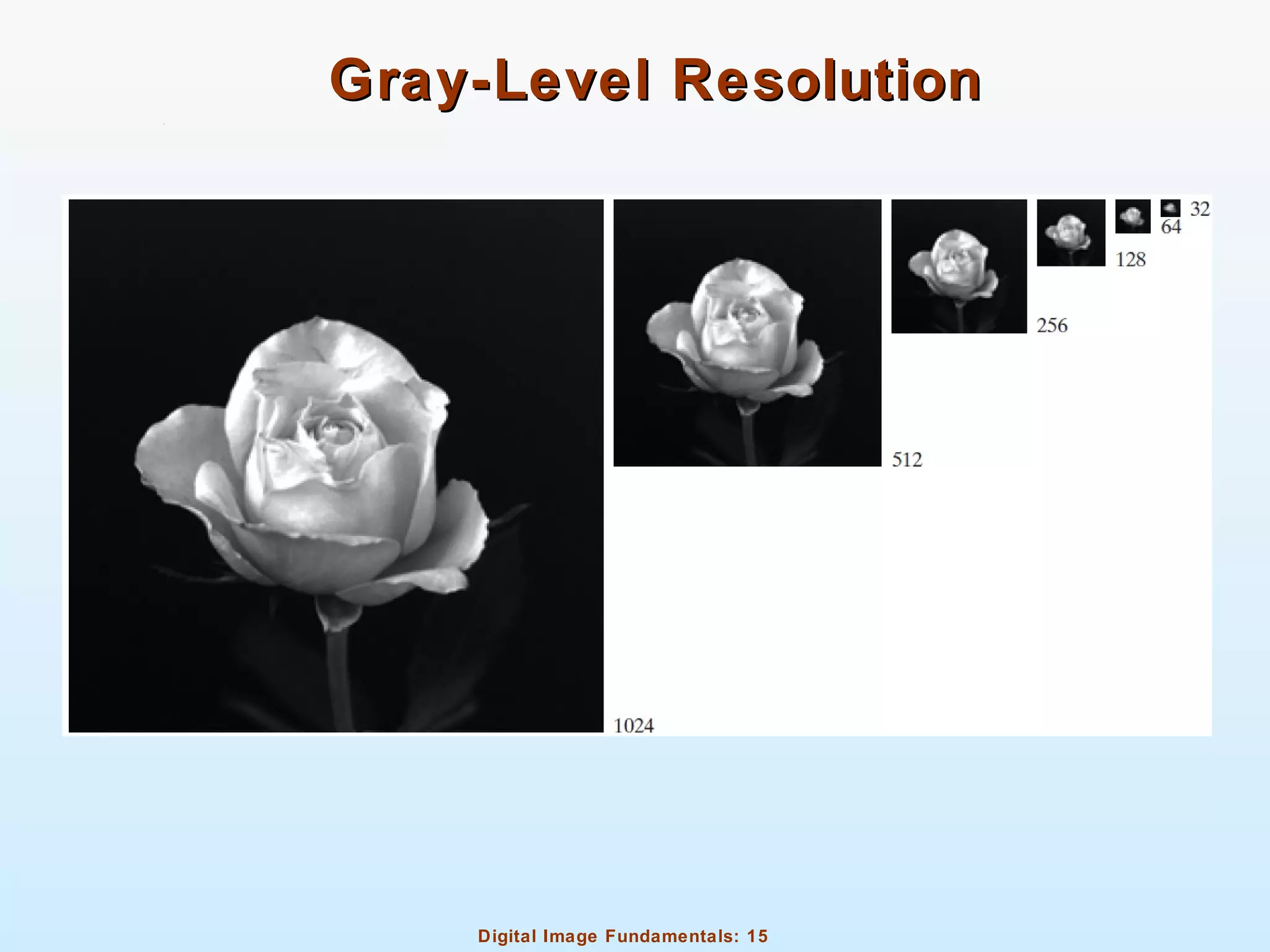 Digital Image Fundamentals: 15
Gray-Level ResolutionGray-Level Resolution
 