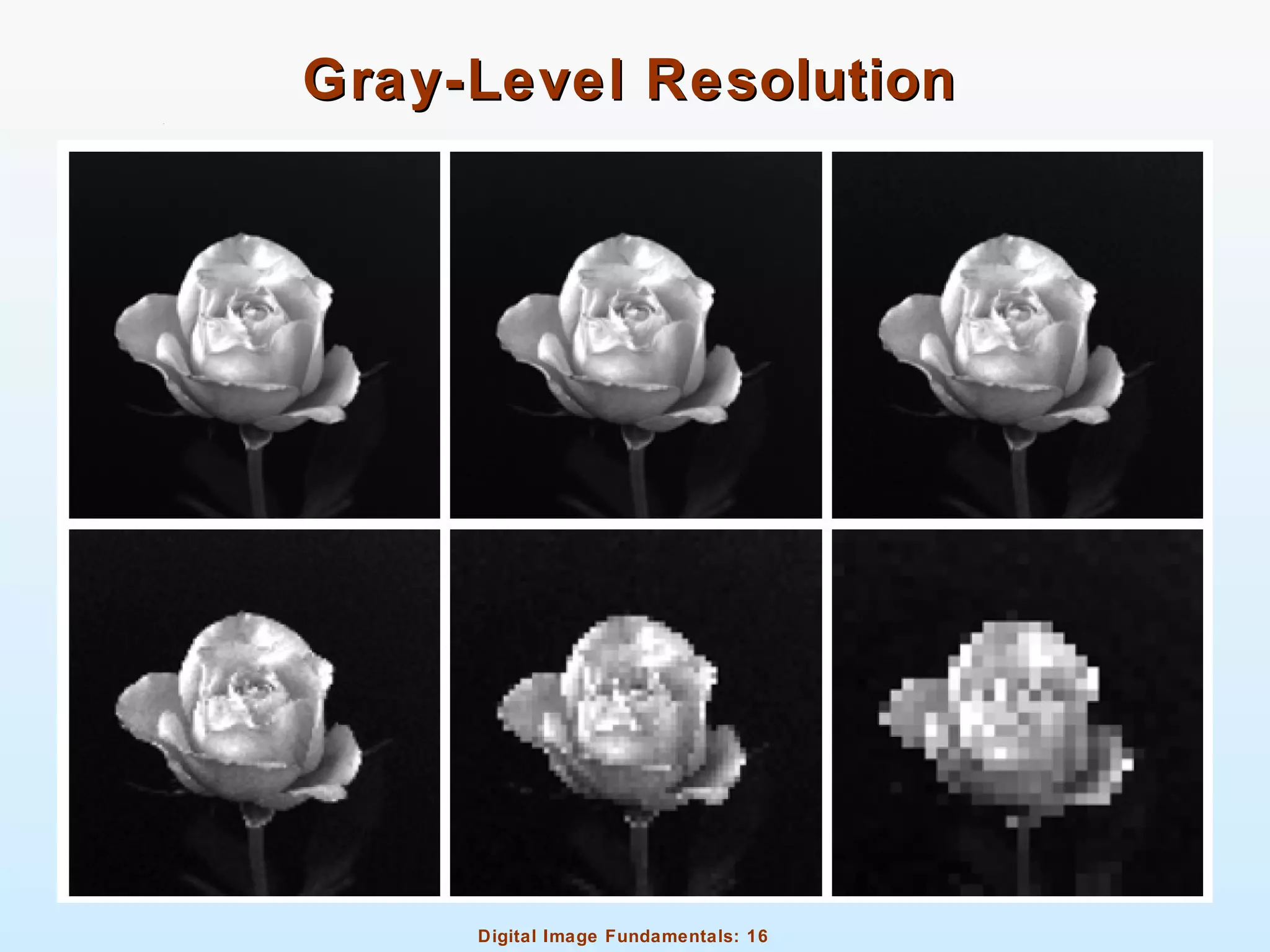 Digital Image Fundamentals: 16
Gray-Level ResolutionGray-Level Resolution
 