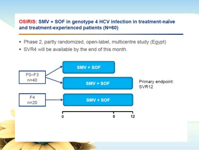 Treatment of HCV Genotype 4