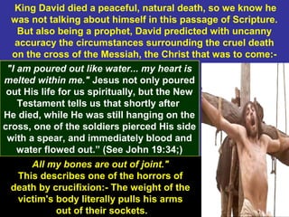 39
King David died a peaceful, natural death, so we know he
was not talking about himself in this passage of Scripture.
But also being a prophet, David predicted with uncanny
accuracy the circumstances surrounding the cruel death
on the cross of the Messiah, the Christ that was to come:-
"I am poured out like water... my heart is
melted within me." Jesus not only poured
out His life for us spiritually, but the New
Testament tells us that shortly after
He died, while He was still hanging on the
cross, one of the soldiers pierced His side
with a spear, and immediately blood and
water flowed out.” (See John 19:34;)
All my bones are out of joint."
This describes one of the horrors of
death by crucifixion:- The weight of the
victim's body literally pulls his arms
out of their sockets.
 