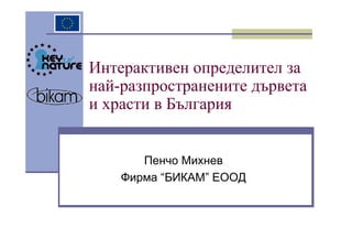Интерактивен определител за
най-разпространените дървета
и храсти в България


       Пенчо Михнев
    Фирма “БИКАМ” ЕООД
 