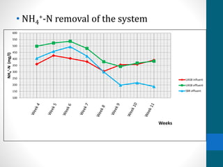 • NH4
+-N removal of the system
100
150
200
250
300
350
400
450
500
550
600
NH4
+-N(mg/l)
Weeks
UASB influent
UASB effluent
SBR effluent
 