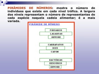 PIRÂMIDES DE NÚMEROS: mostra o número de
indivíduos que existe em cada nível trófico. A largura
dos níveis representam o número de representantes de
cada espécie naquela cadeia alimentar; é a mais
variada.
 