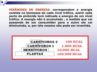 PIRÂMIDES DE ENERGIA: correspondem a energia
contida na biomassa de cada nível trófico, assim cada
parte da pirâmide terá indicada a energia de um nível
trófico. A energia não é acumulada , a medida que vai
passando de um consumidor para o outro ela vai
diminuindo, e, por isto mesmo não pode ser invertida.
 