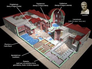 Frigidarium
(bany d’aigua freda)
Tepidarium
(banys d’aigua tèbia)
Palestra
(pati per a la pràctica de la
gimnàstica, lluita i d’altres esports)
Caldarium
(banys d’aigua calenta)
Apodyterium
(vestidor)
Laconicum
(sala de vapor, bany sec)
Piscina a
l’aire lliure
Caracal·la
 