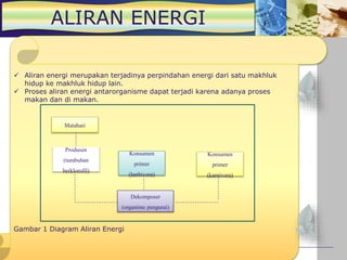 INTERAKSI ANTAR
KOMPONEN DALAM
EKOSISTEM
 Aliran energi merupakan terjadinya perpindahan energi dari satu makhluk
hidup ke makhluk hidup lain.
 Proses aliran energi antarorganisme dapat terjadi karena adanya proses
makan dan di makan.
Gambar 1 Diagram Aliran Energi
ALIRAN ENERGI
Produsen
(tumbuhan
berklorofil)
Matahari
Konsumen
primer
(herbivora)
Konsumen
primer
(karnivora)
Dekomposer
(organime pengurai)
 