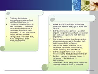  Produser (tumbuhan)
menyediakan makanan bagi
makhluk hidup lainnya.
 Tumbuhan tersebut dimakan
oleh konsumen I, konsumen I
dimakan oleh konsumen II,
konsumer II dimakan oleh
konsumen III, dan seterusnya
hingga karnivor puncak.
 Selanjut bila konsumen mati,
maka bangkainya akan
diurai/decomposer.
 Rantai makanan biasanya diawali dari
produsen. Namun, ada juga di mulai dari
detritus.
 Detritus merupakan partikel – partikel
organik yang merupakan hasil penguraian
dari berbagai organisme mati dan sisa
organisme.
 Sisa organisme seperti runtuhan ranting
ataupun dedaunan yang diuraikan oleh
dekomposer, kotoran hewan.
 Detritus ini adalah makanan untuk
berbeagai organisme seperti cacing,
rayap, keluwing, dan juga kecoa.
 Detritus dapat membentuk rantai
makanan yang disebut sebagai detritivor.
 Contoh : hancurnya kotoran hewan →
nematoda → kutu acarina →
kalajengking.
 Contoh lain : daun yang sudah diuraikan
→ cacing tanah → ayam → manusia.
 