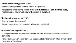 03 Electrical activity of the heart .pptx