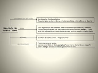 -Paralela a las Cordilleras Béticas
-Fosa triangular: anchura máxima en la bahía de Cádiz, mínima Sierra de Cazorla
Se rellenó de arcillas, caliza y margas marinas
DEPRESIÓN DEL
GUADALQUIVIR
Fosa originada por el hundimiento entre la cordilleras alpinas béticas y la Meseta.
Primero estuvo abierta al mar, luego se convirtió en lago litoral o albufera*, y más
tarde, por colmatación, en marismas pantanosas, proceso que aún no ha terminado.
Predominantemente tabular.
Llanuras en el Golfo de Cádiz, campiñas* en el interior alternando con mesas* y
cerros testigo* (alcores) cuando surgen mantos de caliza.
CARACTERÍSTICAS Y LOCALIZACIÓN
ORIGEN
MATERIALES
RELIEVE Y MODELADO
 