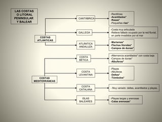 COSTAS
ATLÁNTICAS
COSTAS
MEDITERRÁNEAS
CANTÁBRICA
-Rectilínea
-Acantilados*
-Rasas*
-Pequeñas rías*
GALLEGA
-Costa muy articulada
-Relieve fallado ocupado por la red fluvial,
en parte invadidos por el mar
LAS COSTAS
O LITORAL
PENINSULAR
Y BALEAR
ATLÁNTICA
ANDALUZA
-Marismas*
-Flechas litorales*
-Campos de dunas*
-Alternancia acantilados* con costa baja
-Campos de dunas*
-Albuferas*
COSTA
BÉTICA
COSTA
LEVANTINA
-Playas
-Albuferas
-Deltas*
-Tómbolos*
COSTA
CATALANA
- Muy variado: deltas, acantilados y playas.
ISLAS
BALEARES
-Playas largas y arenosas
-Calas arenosas*
 