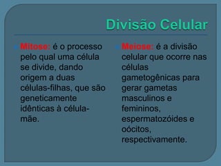  Mitose:

é o processo
pelo qual uma célula
se divide, dando
origem a duas
células-filhas, que são
geneticamente
idênticas à célulamãe.

 Meiose:

é a divisão
celular que ocorre nas
células
gametogênicas para
gerar gametas
masculinos e
femininos,
espermatozóides e
oócitos,
respectivamente.

 
