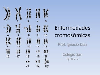 Enfermedades
cromosómicas
Prof. Ignacio Díaz
Colegio San
Ignacio

 