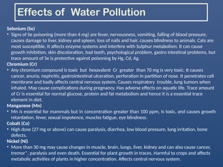 A Detailed PPT on Pollution and its types | Impact of Pollution | PPTX
