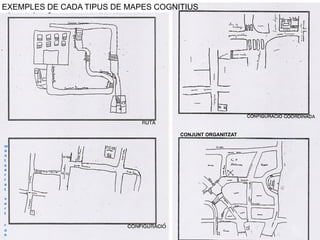 EXEMPLES DE CADA TIPUS DE MAPES COGNITIUS




                                     CONJUNT ORGANITZAT

m
o
n
t
s
e
r
r
a
t

v
e
r
t

r
o
s
 