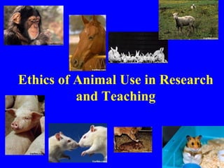 Ethics of Animal Use in Research
          and Teaching
 