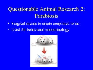 Research Methods: Ethics II (Animal Research) | PPT
