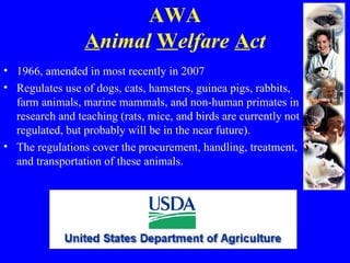 Research Methods: Ethics II (Animal Research) | PPT