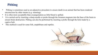 EUTHANESIA ppt Chemical method Physical method Adjunctive Methods | PPTX