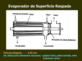 Evaporador de Superficie Raspada
Película Delgada 0.25 mm
Se utiliza para alimentos viscosos: pulpas fruta, pasta tomate, miel,
extractos carne
 