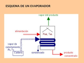 ESQUEMA DE UN EVAPORADOR
 