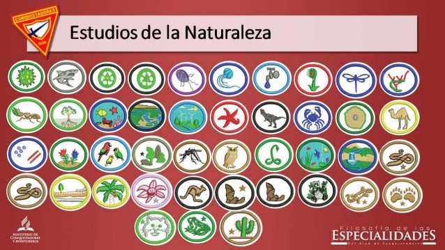 Filosofia de las especialidades del club de conquistadores