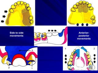 Anterior-
posterior
movements
Side to side
movements
 