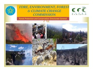 The image part with relationship ID rId1 was not found in the file.

FDRE, ENVIRONMENT, FOREST
& CLIMATE CHANGE
COMMISSION
 