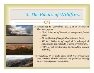 Forest fire management in Ethiopia, experiences and challenges | PDF