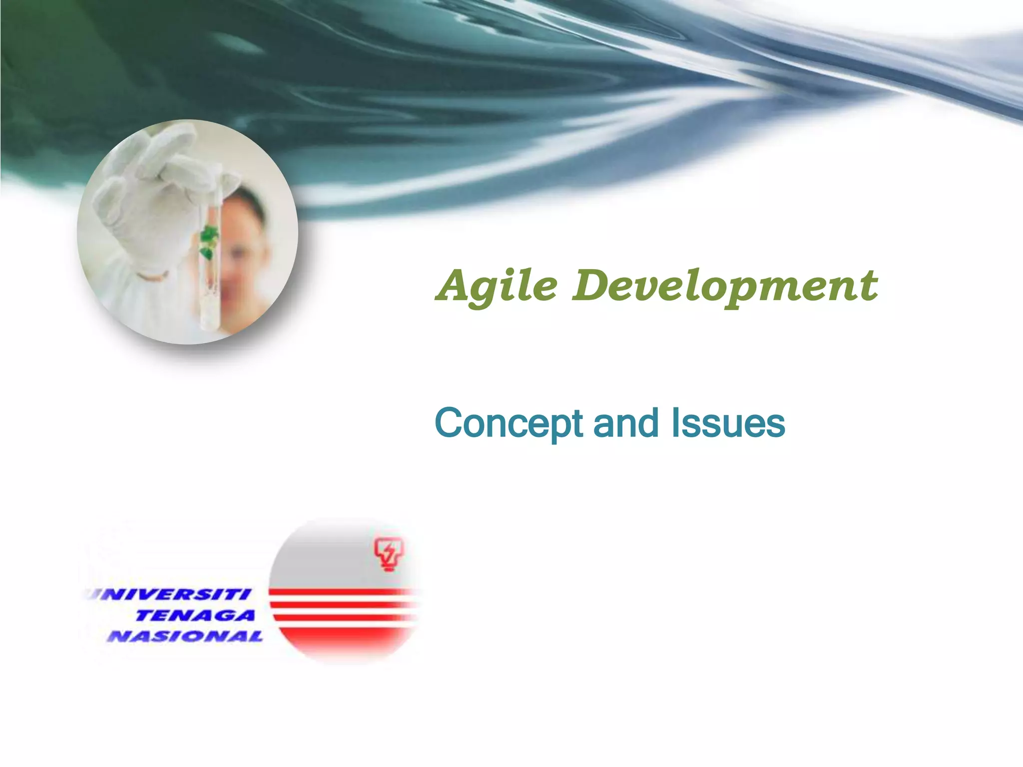 Agile Development
Concept and Issues

 