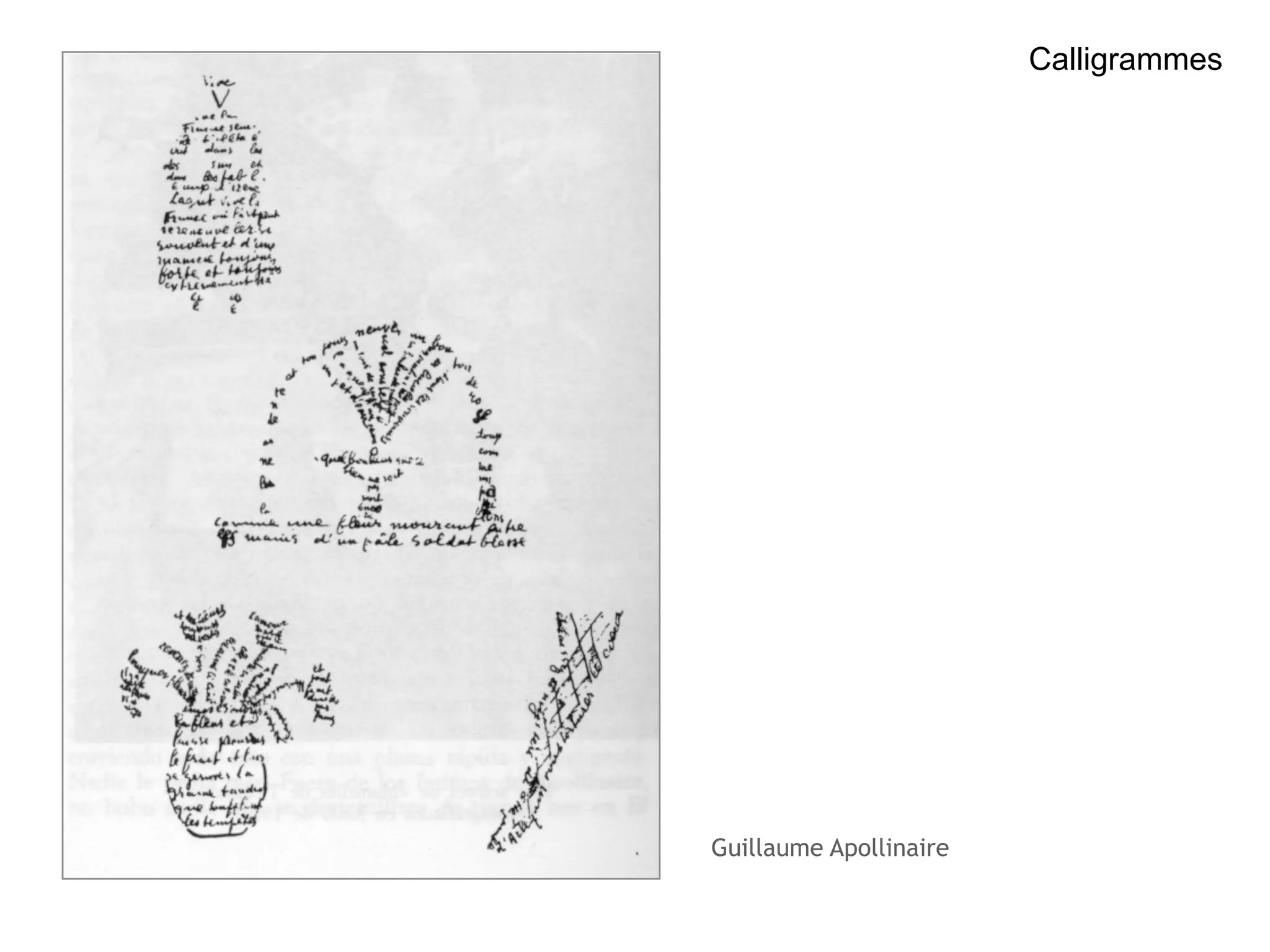 Calligrammes 
Guillaume Apollinaire 
 