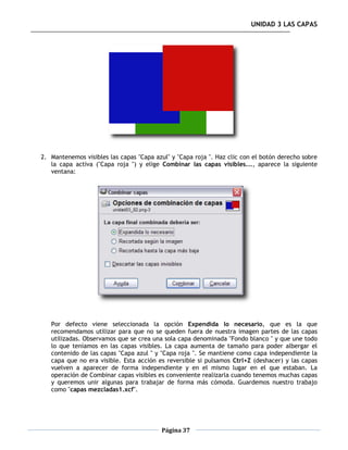 UNIDAD 3 LAS CAPAS




2. Mantenemos visibles las capas "Capa azul" y "Capa roja ". Haz clic con el botón derecho sobre
   la capa activa ("Capa roja ") y elige Combinar las capas visibles..., aparece la siguiente
   ventana:




   Por defecto viene seleccionada la opción Expendida lo necesario, que es la que
   recomendamos utilizar para que no se queden fuera de nuestra imagen partes de las capas
   utilizadas. Observamos que se crea una sola capa denominada "Fondo blanco " y que une todo
   lo que teníamos en las capas visibles. La capa aumenta de tamaño para poder albergar el
   contenido de las capas "Capa azul " y "Capa roja ". Se mantiene como capa independiente la
   capa que no era visible. Esta acción es reversible si pulsamos Ctrl+Z (deshacer) y las capas
   vuelven a aparecer de forma independiente y en el mismo lugar en el que estaban. La
   operación de Combinar capas visibles es conveniente realizarla cuando tenemos muchas capas
   y queremos unir algunas para trabajar de forma más cómoda. Guardemos nuestro trabajo
   como "capas mezcladas1.xcf".




                                         Página 37
 