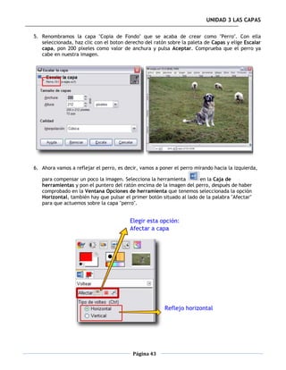 UNIDAD 3 LAS CAPAS

5. Renombramos la capa "Copia de Fondo" que se acaba de crear como "Perro". Con ella
   seleccionada, haz clic con el boton derecho del ratón sobre la paleta de Capas y elige Escalar
   capa, pon 200 píxeles como valor de anchura y pulsa Aceptar. Comprueba que el perro ya
   cabe en nuestra imagen.




6. Ahora vamos a reflejar el perro, es decir, vamos a poner el perro mirando hacia la izquierda,

   para compensar un poco la imagen. Selecciona la herramienta        en la Caja de
   herramientas y pon el puntero del ratón encima de la imagen del perro, después de haber
   comprobado en la Ventana Opciones de herramienta que tenemos seleccionada la opción
   Horizontal, también hay que pulsar el primer botón situado al lado de la palabra "Afectar"
   para que actuemos sobre la capa "perro".




                                          Página 43
 