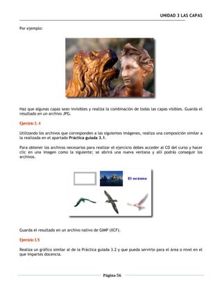 UNIDAD 3 LAS CAPAS

Por ejemplo:




Haz que algunas capas sean invisibles y realiza la combinación de todas las capas visibles. Guarda el
resultado en un archivo JPG.

Ejercicio 3. 4

Utilizando los archivos que corresponden a las siguientes imágenes, realiza una composición similar a
la realizada en el apartado Práctica guiada 3.1.

Para obtener los archivos necesarios para realizar el ejercicio debes acceder al CD del curso y hacer
clic en una imagen como la siguiente; se abrirá una nueva ventana y allí podrás conseguir los
archivos.




Guarda el resultado en un archivo nativo de GIMP (XCF).

Ejercicio 3.5

Realiza un gráfico similar al de la Práctica guiada 3.2 y que pueda servirte para el área o nivel en el
que impartes docencia.




                                               Página 56
 