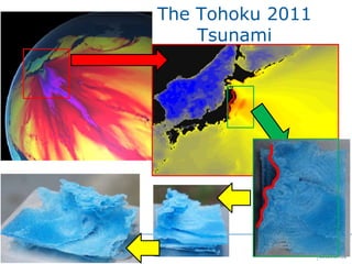 The Tohoku 2011
    Tsunami
 
