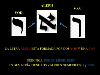 ALEPH
YOD
VAV
LA LETRA ALEPH ESTÁ FORMADA POR DOS YOD Y UNA VAV
SIGNIFICA: PODER, LÍDER, BUEY
EN GEMATRÍA TIENE LOS VALORES NUMÉRICOS: 1 y 1000
 