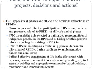 Ensuring Free, Prior and Informed Consent (FPIC) in REDD+ | PPTX