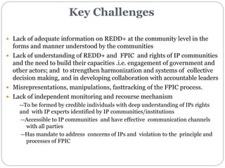 Ensuring Free, Prior and Informed Consent (FPIC) in REDD+