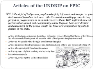 Ensuring Free, Prior and Informed Consent (FPIC) in REDD+