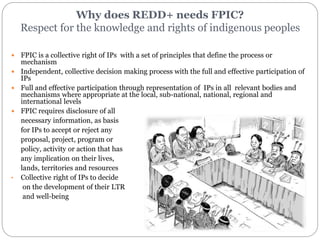 Ensuring Free, Prior and Informed Consent (FPIC) in REDD+