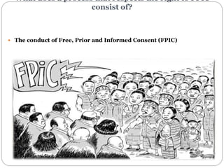 Ensuring Free, Prior and Informed Consent (FPIC) in REDD+