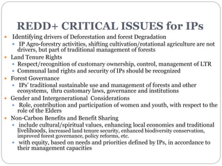 Ensuring Free, Prior and Informed Consent (FPIC) in REDD+