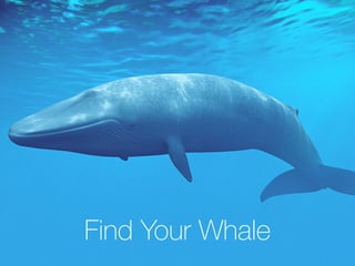 Find Your Whale
 