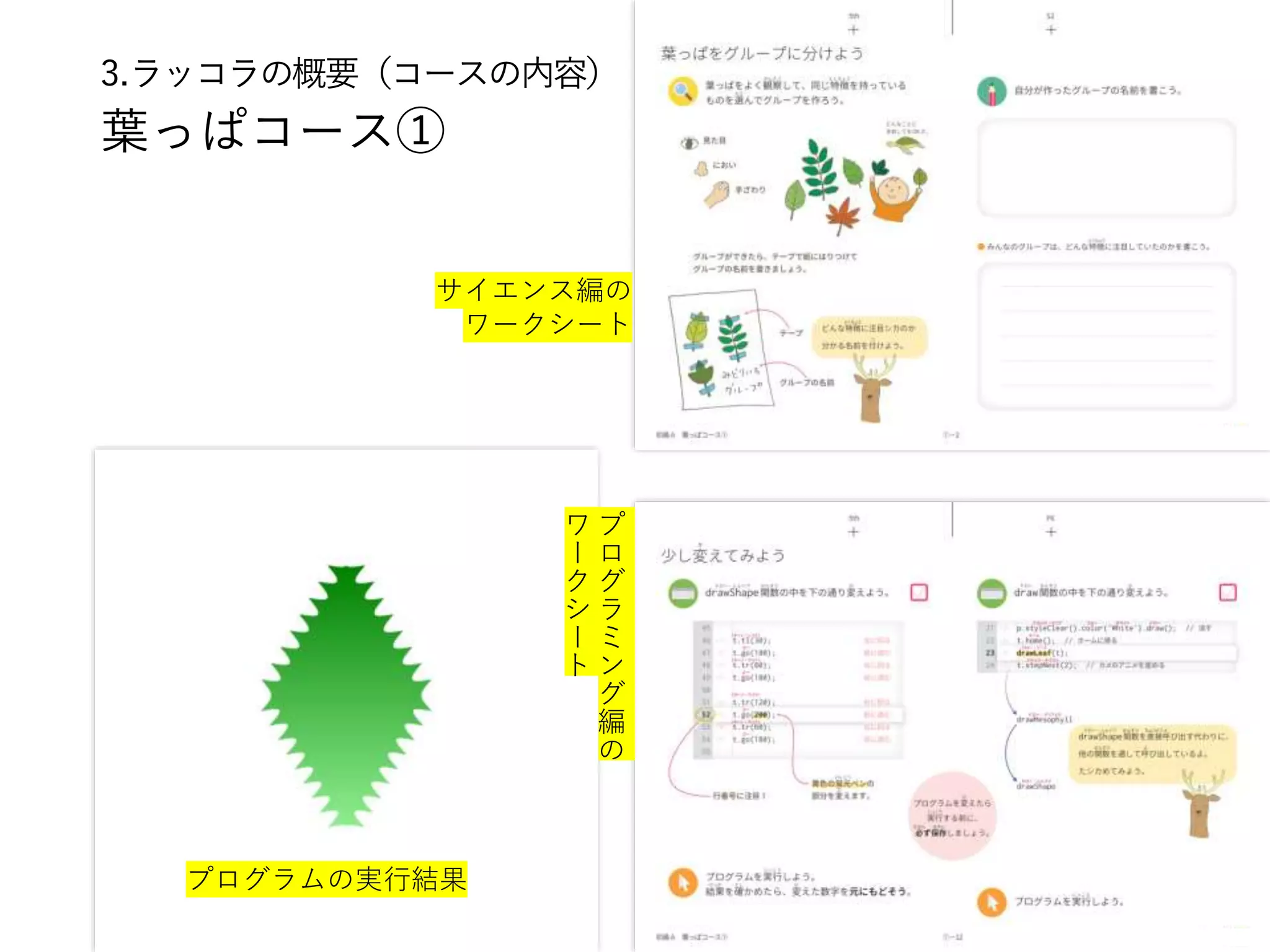 3.ラッコラの概要（コースの内容）
葉っぱコース①
11
サイエンス編の
ワークシート
プ
ロ
グ
ラ
ミ
ン
グ
編
の
ワ
ー
ク
シ
ー
ト
プログラムの実行結果
 