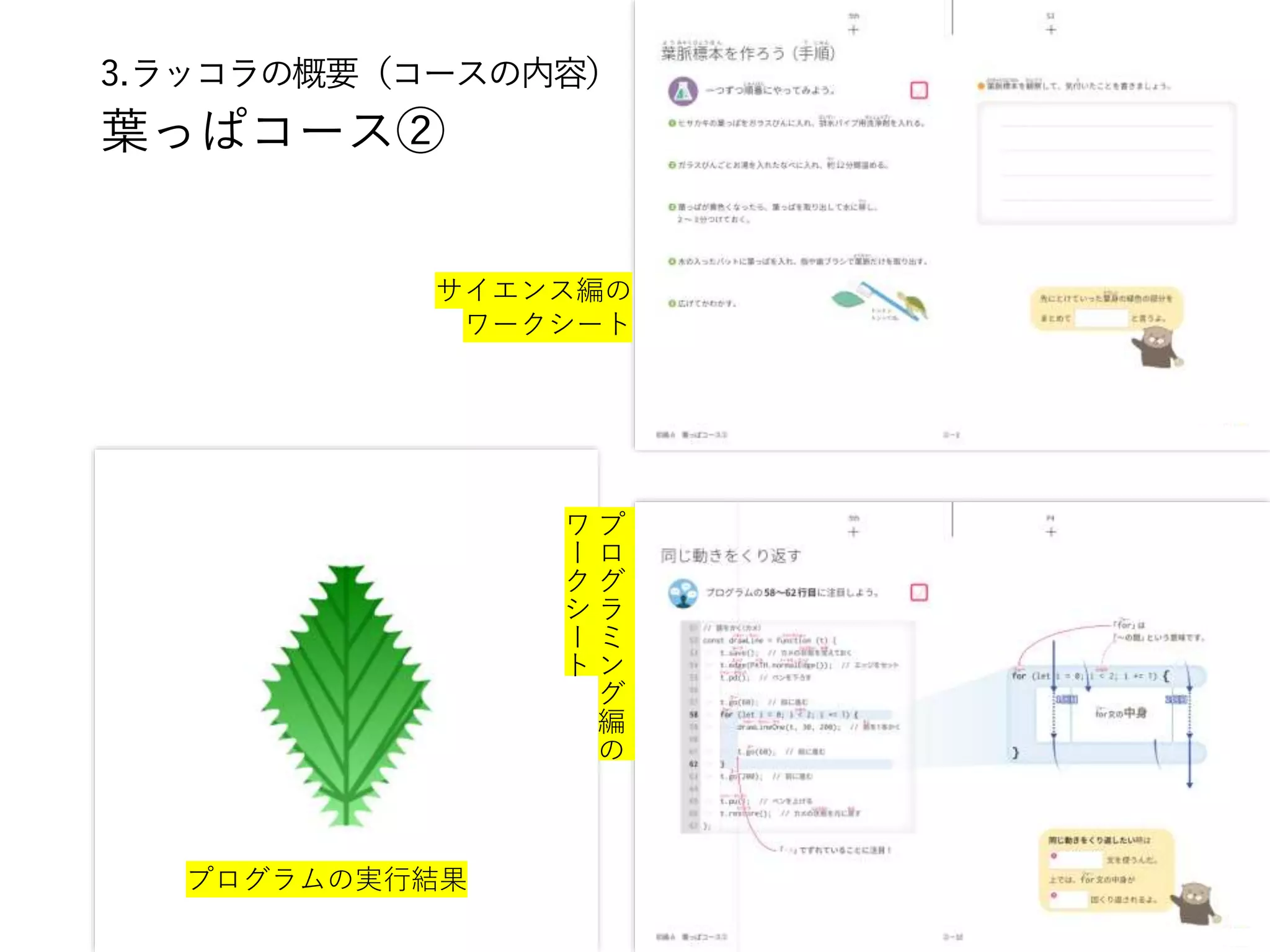 3.ラッコラの概要（コースの内容）
葉っぱコース②
プログラムの実行結果
サイエンス編の
ワークシート
プ
ロ
グ
ラ
ミ
ン
グ
編
の
ワ
ー
ク
シ
ー
ト
 