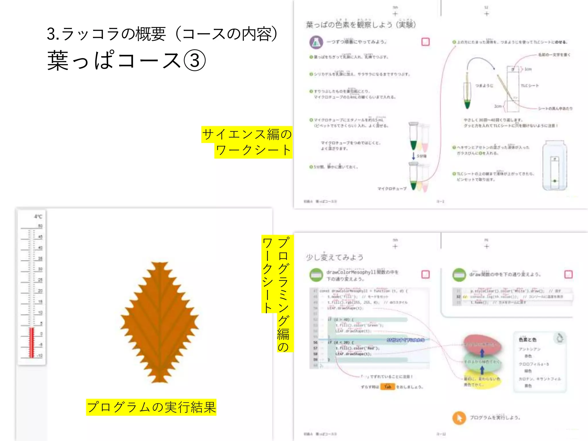 3.ラッコラの概要（コースの内容）
葉っぱコース③
プログラムの実行結果
サイエンス編の
ワークシート
プ
ロ
グ
ラ
ミ
ン
グ
編
の
ワ
ー
ク
シ
ー
ト
 