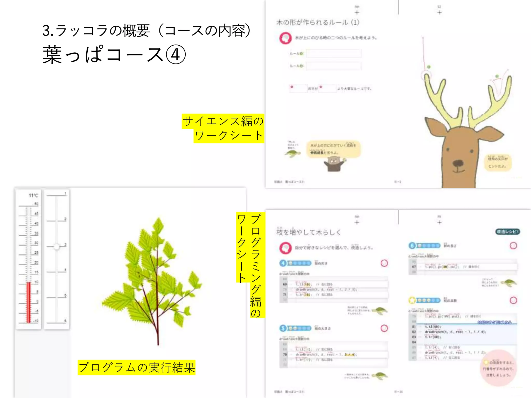 3.ラッコラの概要（コースの内容）
葉っぱコース④
14
プログラムの実行結果
サイエンス編の
ワークシート
プ
ロ
グ
ラ
ミ
ン
グ
編
の
ワ
ー
ク
シ
ー
ト
 