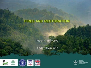 HERRY PURNOMO
JFCC, 18 May 2017
FIRES AND RESTORATION
 