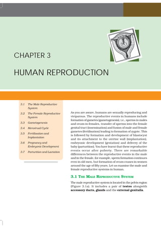 CHAPTER 3

HUMAN REPRODUCTION


 3.1   The Male Reproductive
       System
 3.2   The Female Reproductive     As you are aware, humans are sexually reproducing and
       System                      viviparous. The reproductive events in humans include
                                   formation of gametes (gametogenesis), i.e., sperms in males
 3.3   Gametogenesis               and ovum in females, transfer of sperms into the female
 3.4   Menstrual Cycle             genital tract (insemination) and fusion of male and female
                                   gametes (fertilisation) leading to formation of zygote. This
 3.5   Fertilisation and
                                   is followed by formation and development of blastocyst
       Implantation
                                   and its attachment to the uterine wall (implantation),
 3.6   Pregnancy and               embryonic development (gestation) and delivery of the
       Embryonic Development       baby (parturition). You have learnt that these reproductive
                                   events occur after puberty. There are remarkable
 3.7   Parturition and Lactation
                                   differences between the reproductive events in the male
                                   and in the female, for example, sperm formation continues
                                   even in old men, but formation of ovum ceases in women
                                   around the age of fifty years. Let us examine the male and
                                   female reproductive systems in human.

                                   3.1 THE MALE REPRODUCTIVE SYSTEM
                                   The male reproductive system is located in the pelvis region
                                   (Figure 3.1a). It includes a pair of testes alongwith
                                   accessory ducts, glands and the external genitalia.
 