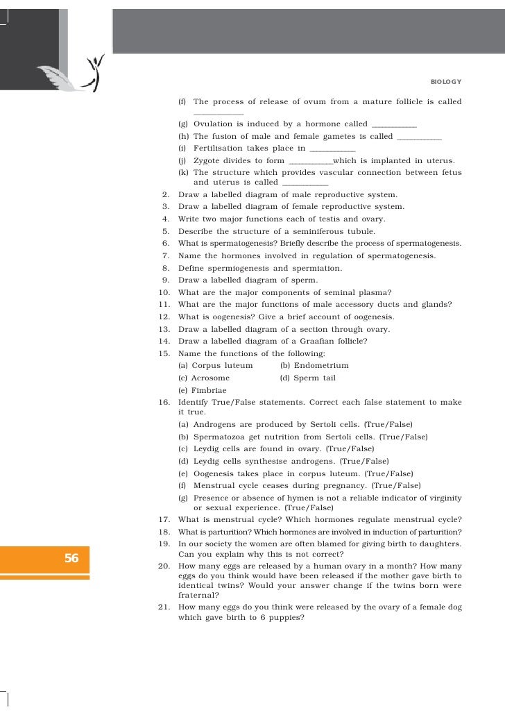 03 human reproduction true or false humans form gametes by a process called gametogenesis